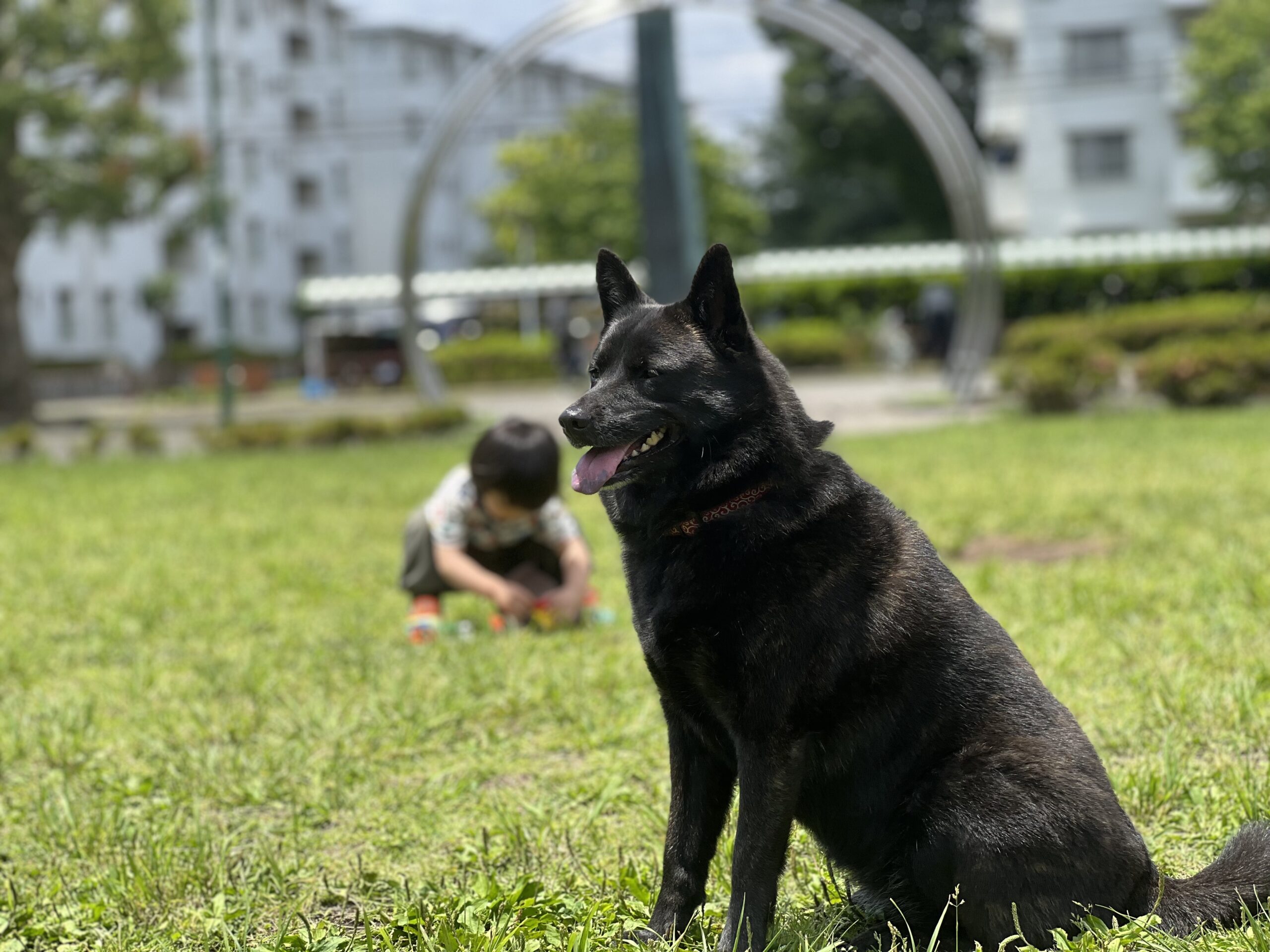 【横浜青葉】夕暮れが早くなる頃、あなたのもとへ。