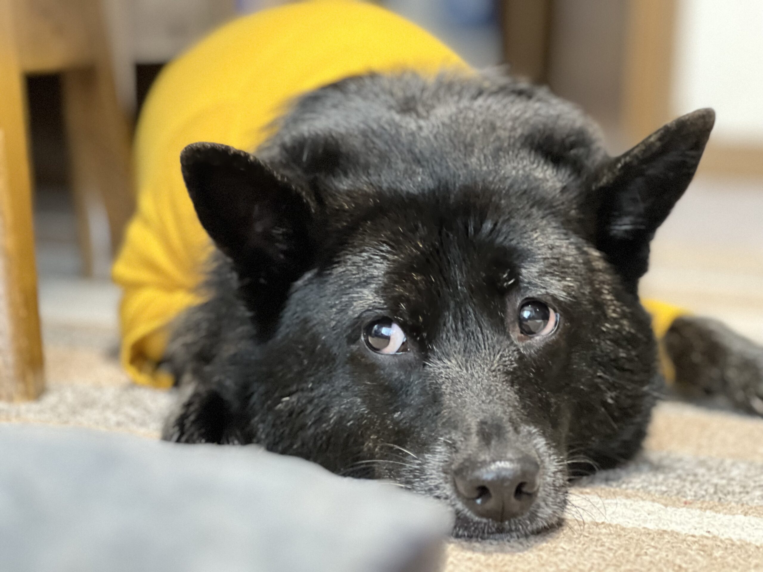 【横浜青葉】新年のご挨拶　～その人らしい生活を支える一年へ～
