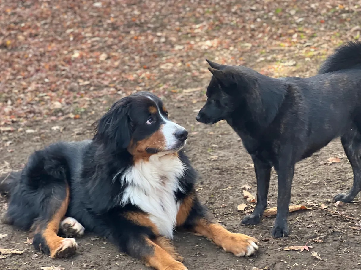 「今日も訪問マッサージ日和〜横浜あさひ事業所のゆるっと日記〜」